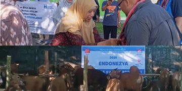 Bantuan 200 Ekor Sapi Kurban dari Turki Diberikan di Lobar untuk Warga Kurang Mampu