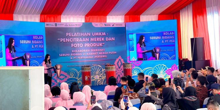 Keandalan Listrik PLN Saat Kunjungan Ibu Wapres dan Seruni di Lombok