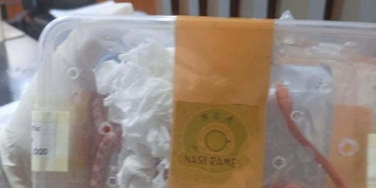Karantina NTB Gagalkan Penyelundupan Dua Ekor Ular Amelanistik Tanpa Dokumen di Lombok