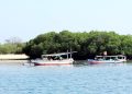 Pengembangan Pulau Kenawa Terkendala Karena Belum Mengajukan Izin Pemanfaatan Hutan