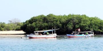 Pengembangan Pulau Kenawa Terkendala Karena Belum Mengajukan Izin Pemanfaatan Hutan