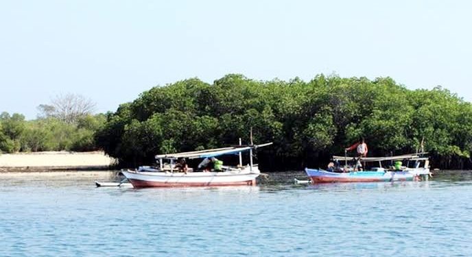 Pengembangan Pulau Kenawa Terkendala Karena Belum Mengajukan Izin Pemanfaatan Hutan