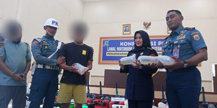 51.233 Benih Lobster Ilegal Senilai Rp5,19 Miliar Disita di Lunyuk