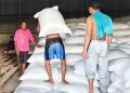 Stok Jagung 2024 Terjual Habis