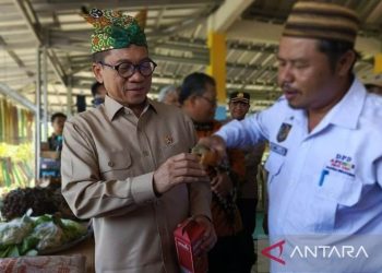 Dana Desa Sebesar Rp610 Triliun Diberikan oleh Pemerintah