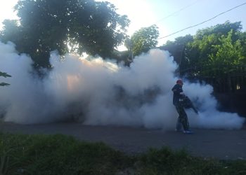 334 Warga Lombok Barat Terkena DBD, Pemdes Tingkatkan PSN
