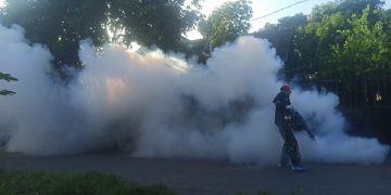 334 Warga Lombok Barat Terkena DBD, Pemdes Tingkatkan PSN