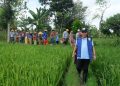 Penguatan Ketahanan Pangan Nasional Dimulai Dari Kesejahteraan Petani Menurut Muazzim
