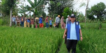Penguatan Ketahanan Pangan Nasional Dimulai Dari Kesejahteraan Petani Menurut Muazzim