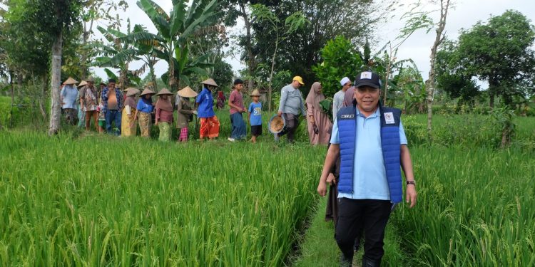 Penguatan Ketahanan Pangan Nasional Dimulai Dari Kesejahteraan Petani Menurut Muazzim