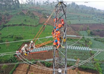 Peningkatan Pendapatan Membawa PLN ke Dalam Fortune Global 500