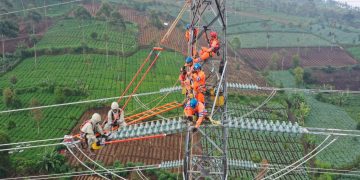 Peningkatan Pendapatan Membawa PLN ke Dalam Fortune Global 500