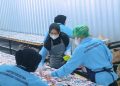 UMKM Dari Wilayah Kepulauan Sukses Jadi Pemasok Program MBG dengan Dukungan Pembiayaan