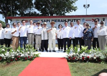 Dukungan Program Sapi Merah Putih untuk Swasembada Pangan Nasional