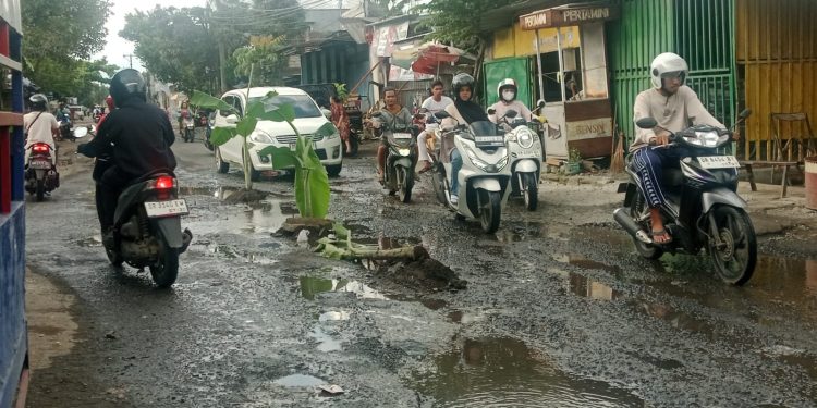 Warga Kota Santri Kediri Lobar Tanami Pohon Pisang di Kubangan Jalan Provinsi Karena Keluhan Tidak Ditangani