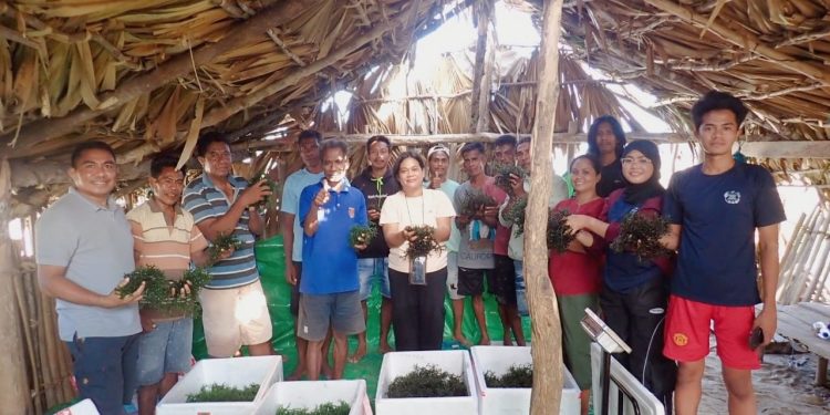 Kolaborasi Unram untuk Memulihkan Harapan Petani di Sumba Timur