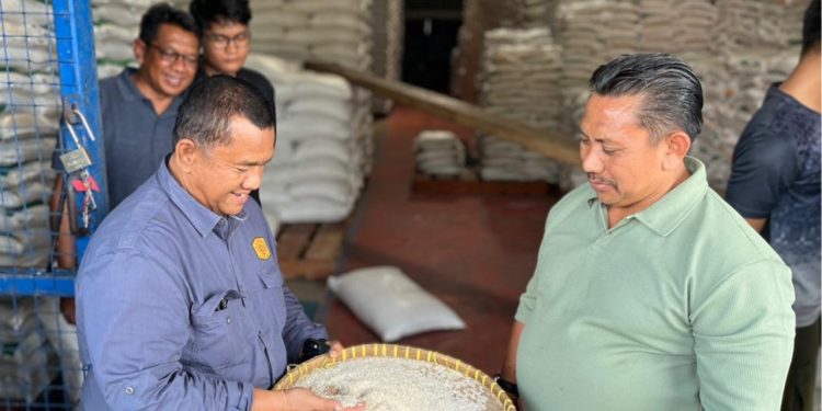 Serapan Padi dan Gabah Lampaui Target, Stok Beras NTB Aman Hingga 30 Bulan ke Depan
