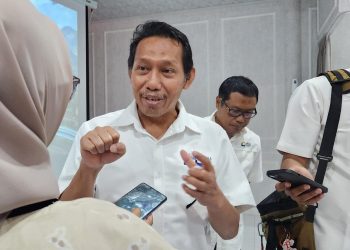 Dampak KEK Mandalika Terhadap Peningkatan Penerimaan Pajak