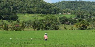Dukungan Sarana Produksi Mendorong Sektor Pertanian dalam Seminar Salit