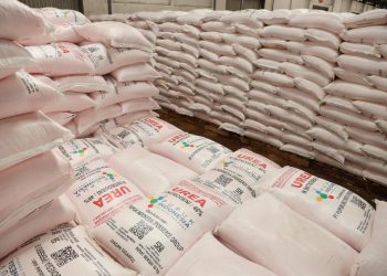 Petani Bisa Tebus Pupuk Subsidi Mulai 1 Januari 2026