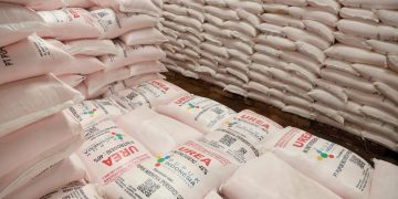 Petani Bisa Tebus Pupuk Subsidi Mulai 1 Januari 2026