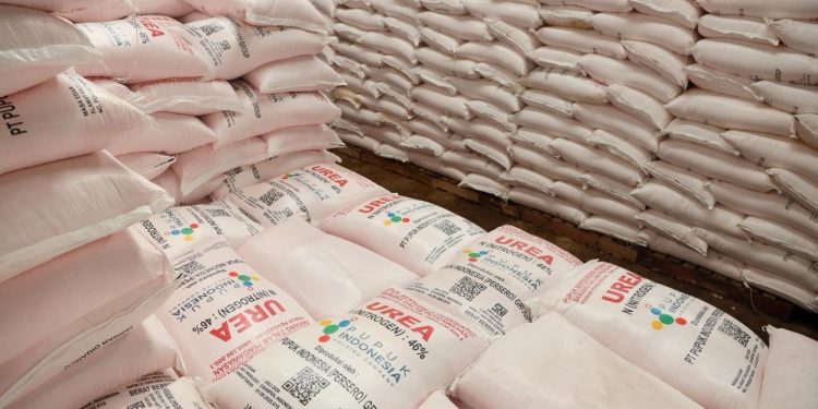 Petani Bisa Tebus Pupuk Subsidi Mulai 1 Januari 2026