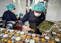 Sertifikasi Higiene Sebagai Standar Utama Program MBG untuk Jaminan Keamanan Makanan