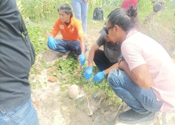 Kasus Tengkorak di Hu’u, RSUD Dompu Mengatakan Belum Menerima Tengkorak Tersebut