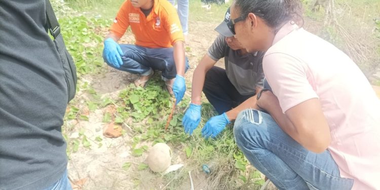 Kasus Tengkorak di Hu’u, RSUD Dompu Mengatakan Belum Menerima Tengkorak Tersebut