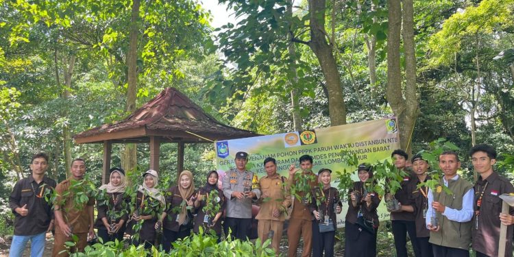 PPPK Paruh Waktu Dinas Pertanian dan Ketahanan Pangan Gelar Gerakan Menanam Pohon di NTB