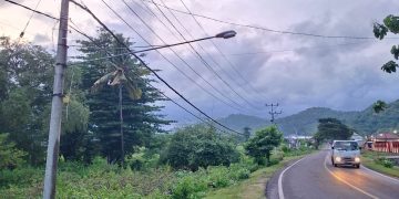 Warga Diminta Jaga Fasilitas Penerangan Jalan agar Terhindar dari Pencurian