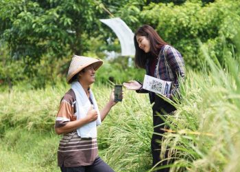 Salurkan KUR Rp178,08 Triliun 2025, 60% Mengalir ke Sektor Produksi Ekonomi Rakyat